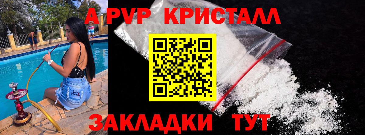 APVP СК Новозыбков
