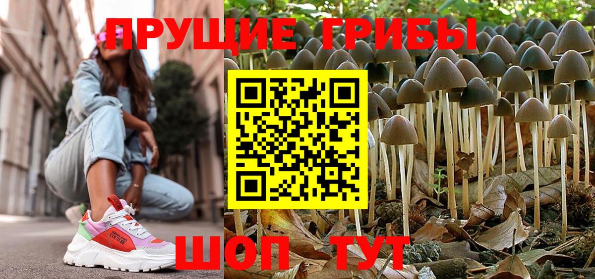 Псилоцибиновые грибы Magic Shrooms Новозыбков