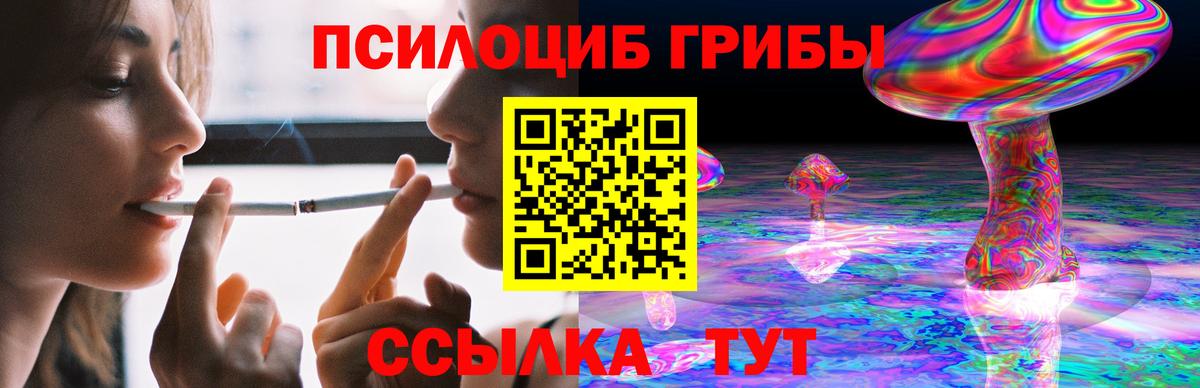 ГАШ Новозыбков
